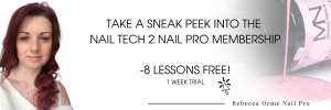 Sneak peek of nail tech 2 nail pro with rebecca orme membership